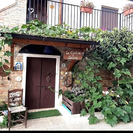 B&B La Casa In Campagna Collecorvino Екстер'єр фото