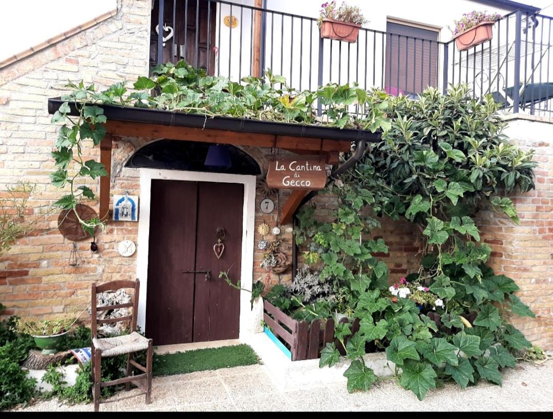 B&B La Casa In Campagna Collecorvino Екстер'єр фото