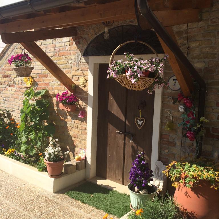 B&B La Casa In Campagna Collecorvino Екстер'єр фото