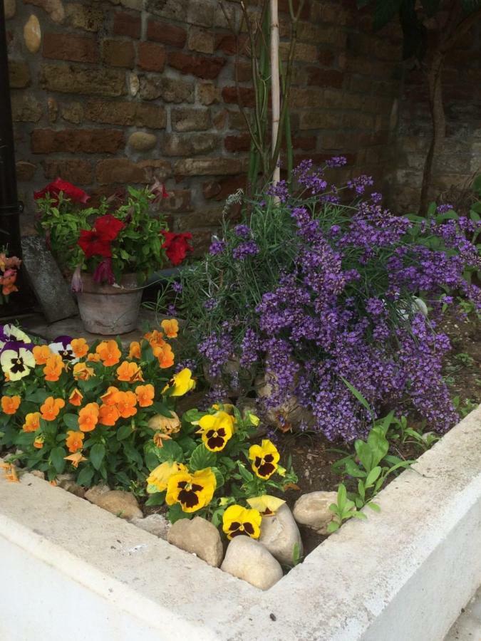 B&B La Casa In Campagna Collecorvino Екстер'єр фото