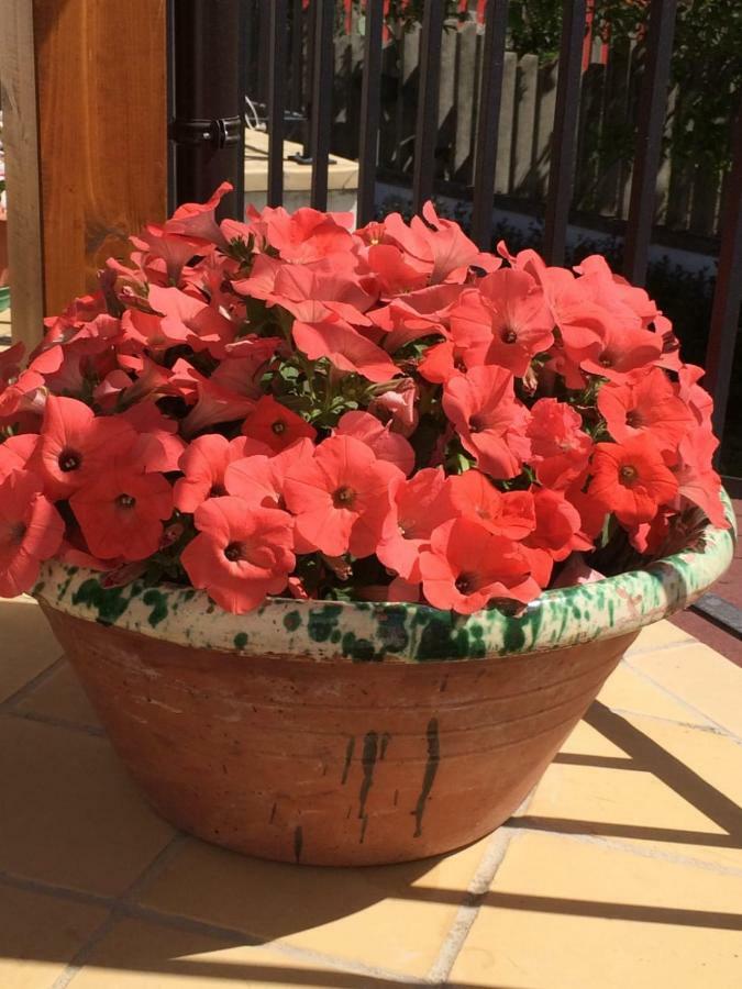 B&B La Casa In Campagna Collecorvino Екстер'єр фото